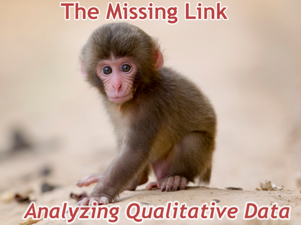 Analyzing-Qualitative-Data-Blog