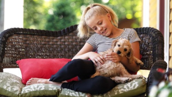 The Best Tips for New Dog Owners