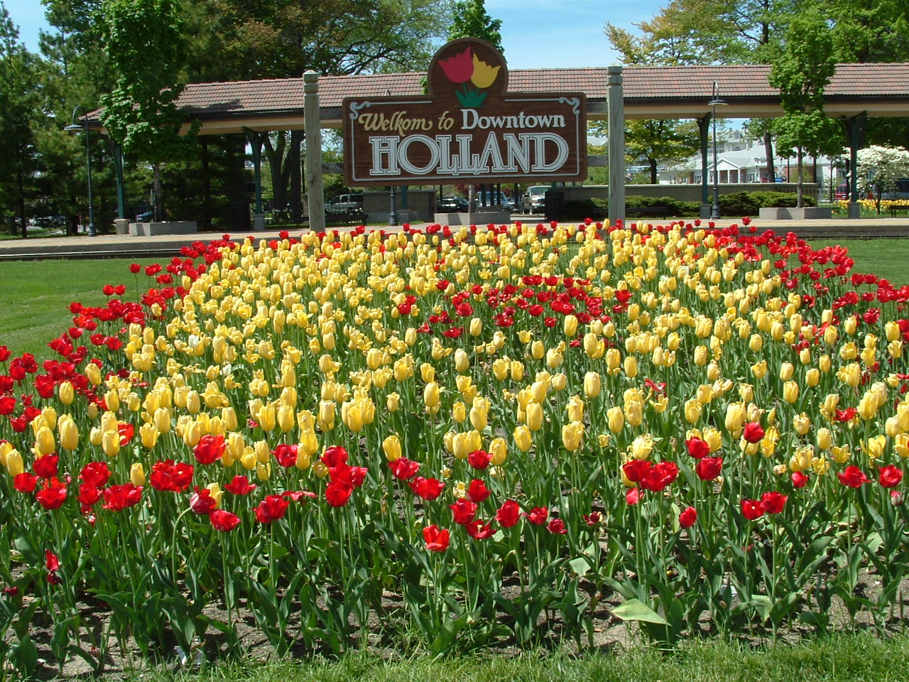 Tulip Festival - Holland, Michigan