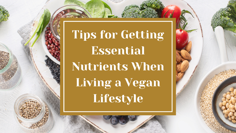 Tips for Getting Essential Nutrients When Living a Vegan Lifestyle