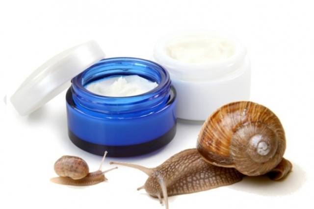 Snail Mucus Used In Creams and Cosmetics