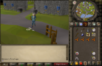 Image result for old runescape