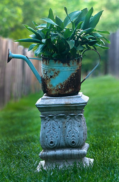 watering can planter