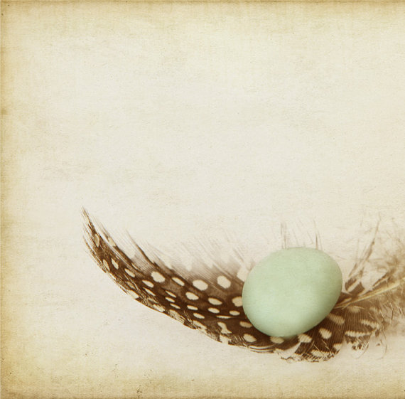 Spotted feather and blue egg photo