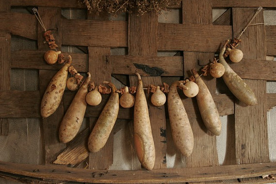 Antique Primitive Gourd Garland with Dried Sweet Potatos