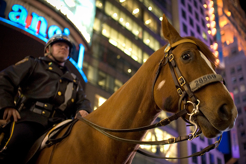 police on horseback in New York Times square