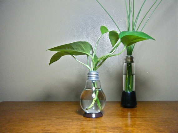 most creative vases