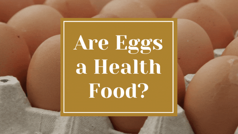 Are Eggs a Health Food?