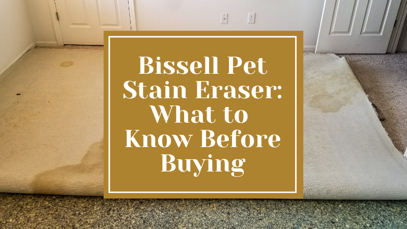 Bissell Pet Stain Eraser What to Know Before Buying