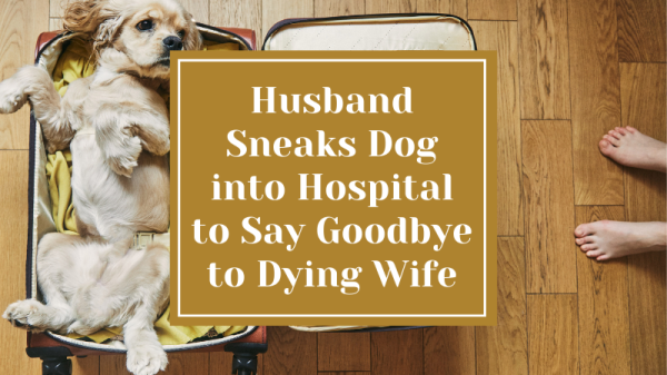 Husband Sneaks Dog into Hospital in a Suitcase to Say Goodbye to Dying Wife