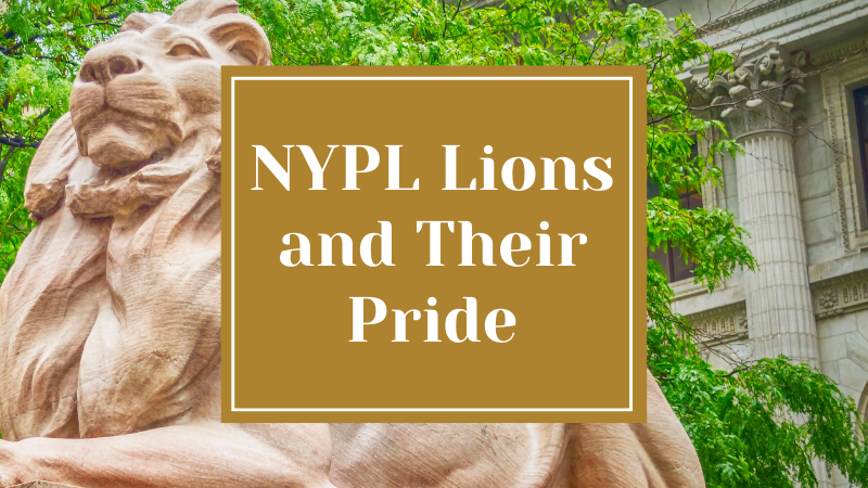 NYPL Lions and Their Pride