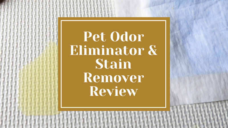 Pet Odor Eliminator and Stain Remover Carpet Cleaner Review