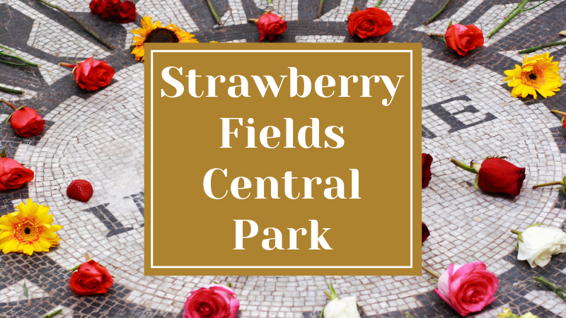 Strawberry Fields Central Park